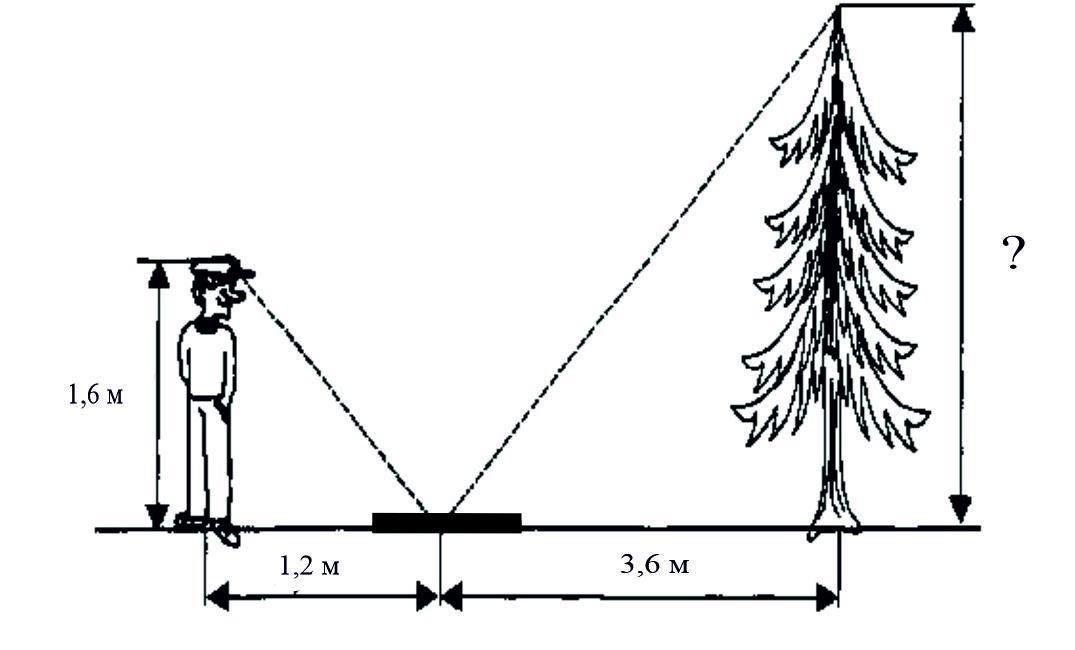 На рисунке изображен человек. Осветительное оборудование удаленность от деревьев. На рисунке изображён человек ростом 1.7. 1.2 M высота. 2 М высота.