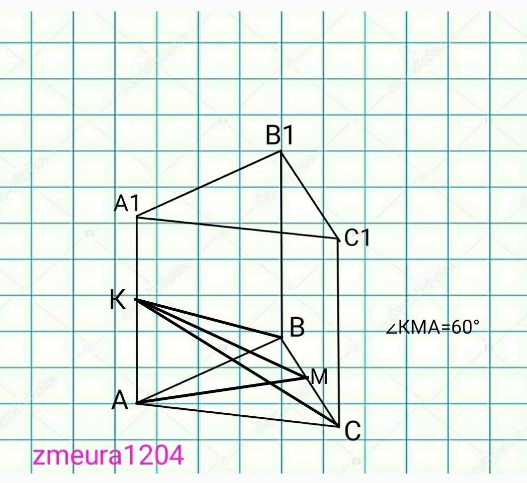 Ребра 32