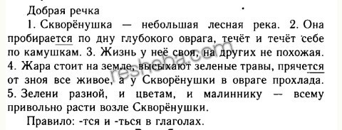 Скворенушка небольшая лесная речонка впр 6