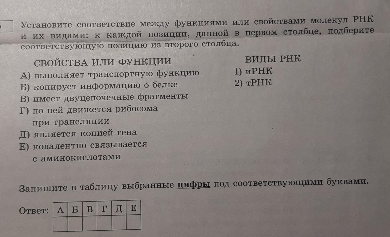 Установите соответствие между функциями и характеристиками