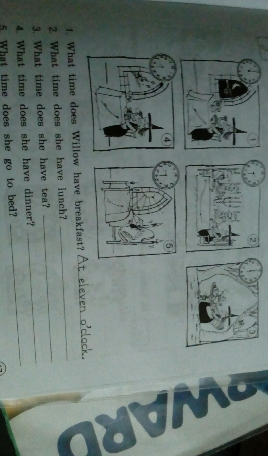 Look at the pictures answer