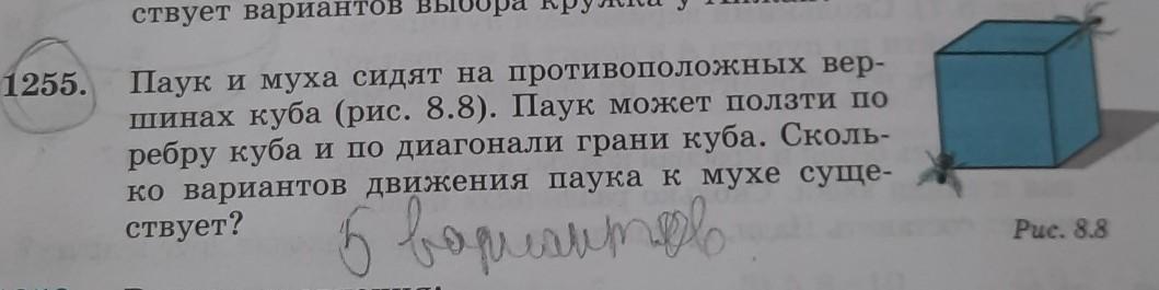 Бельчонок находится в вершине куба. Муха поползет по поверхности Куба. Задача про муху и паука на Кубе. В 2 противоположных углах коробки сидят Муха и паук. Муха ползает по поверхности Куба вдоль красной линии.