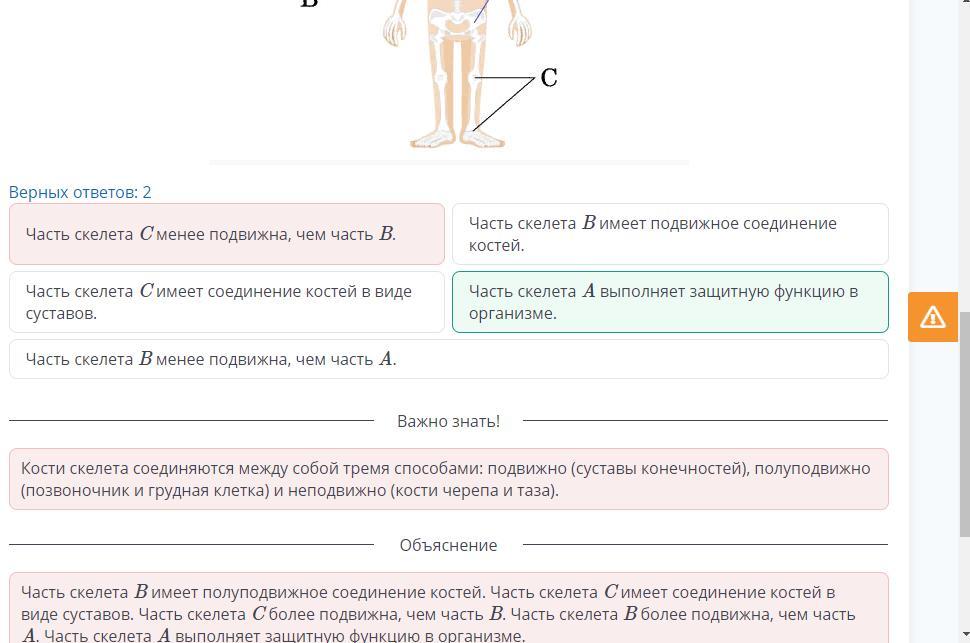 Используя рисунок укажите верные утверждения