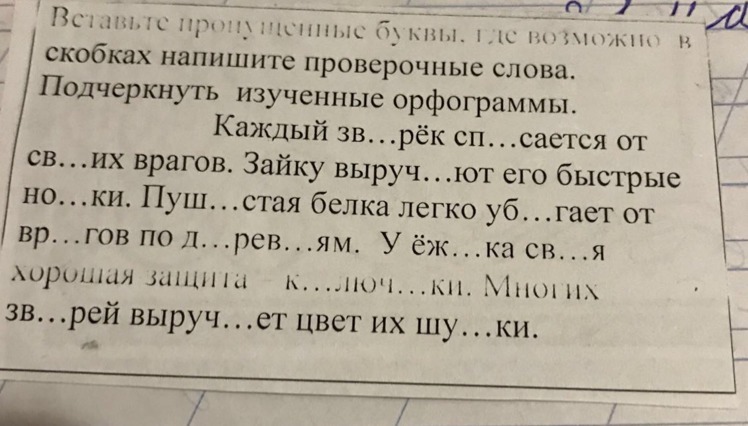 Запишите проверочные слова подчеркните. Текст в скобках с большой буквы или нет. Вставьте пропущенные буквы в скобках напишите проверочные слова. В скобка с большой буквы. В скобках предложение пишется с большой буквы.