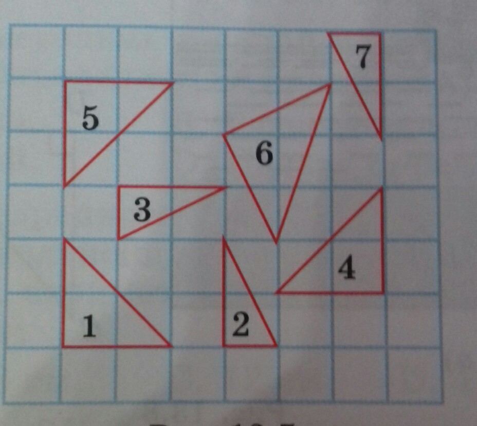 На рисунке 7 13. Укажите равновеликие треугольники. Равновеликие треугольники рисунки. Прямоугольные треугольники на рисунке равны. На рисунке укажите равновеликие треугольники.