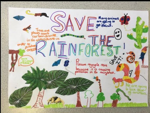 I was saving. Save the Rainforests плакат. Rainforests плакат save the Rainforest. Плакат Спасите тропические леса. Плакат о спасении тропических лесов.