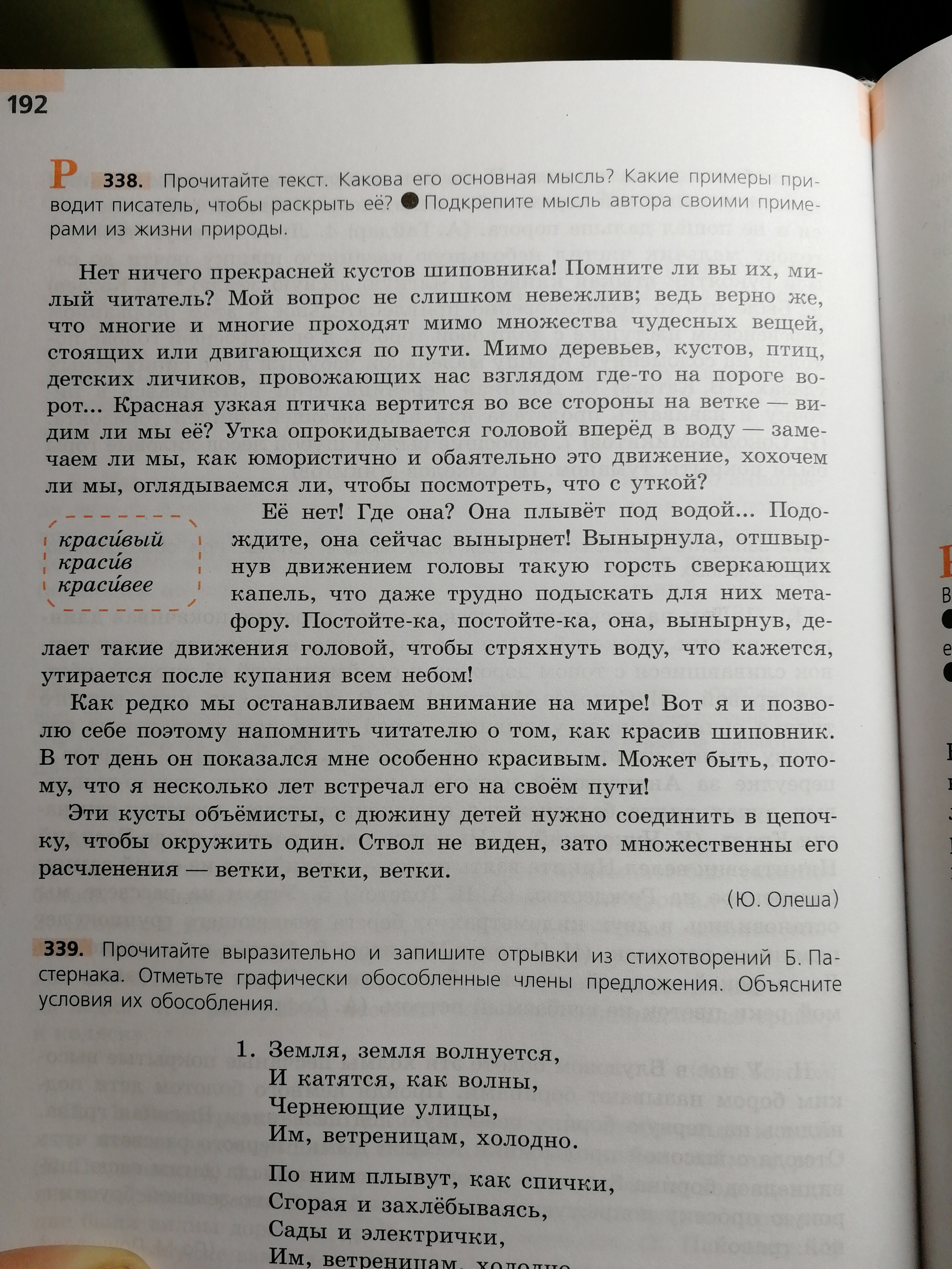 338 русский язык 5 класс. Нет ничего прекраснее кустов шиповника. Сжатое изложение нет ничего прекрасней кустов шиповника. Что такое изложить текст по русскому языку. Текст нет ничего прекрасней кустов шиповника.