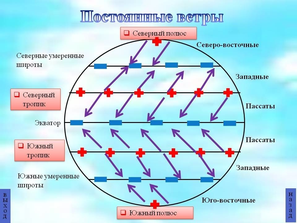 Поле течения. Схема постоянных ветров пассаты. Постоянные ветры география 7 класс. Карта ветров пассаты и Муссоны. Постоянные ветры земли.