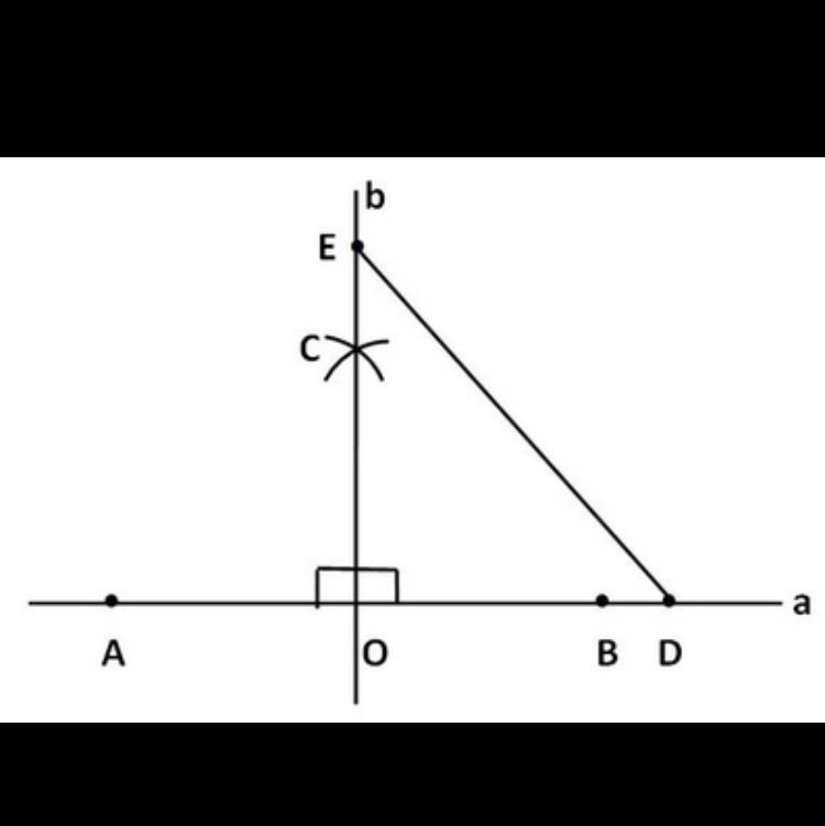 Постройте прямоугольный треугольник по 2 катетам