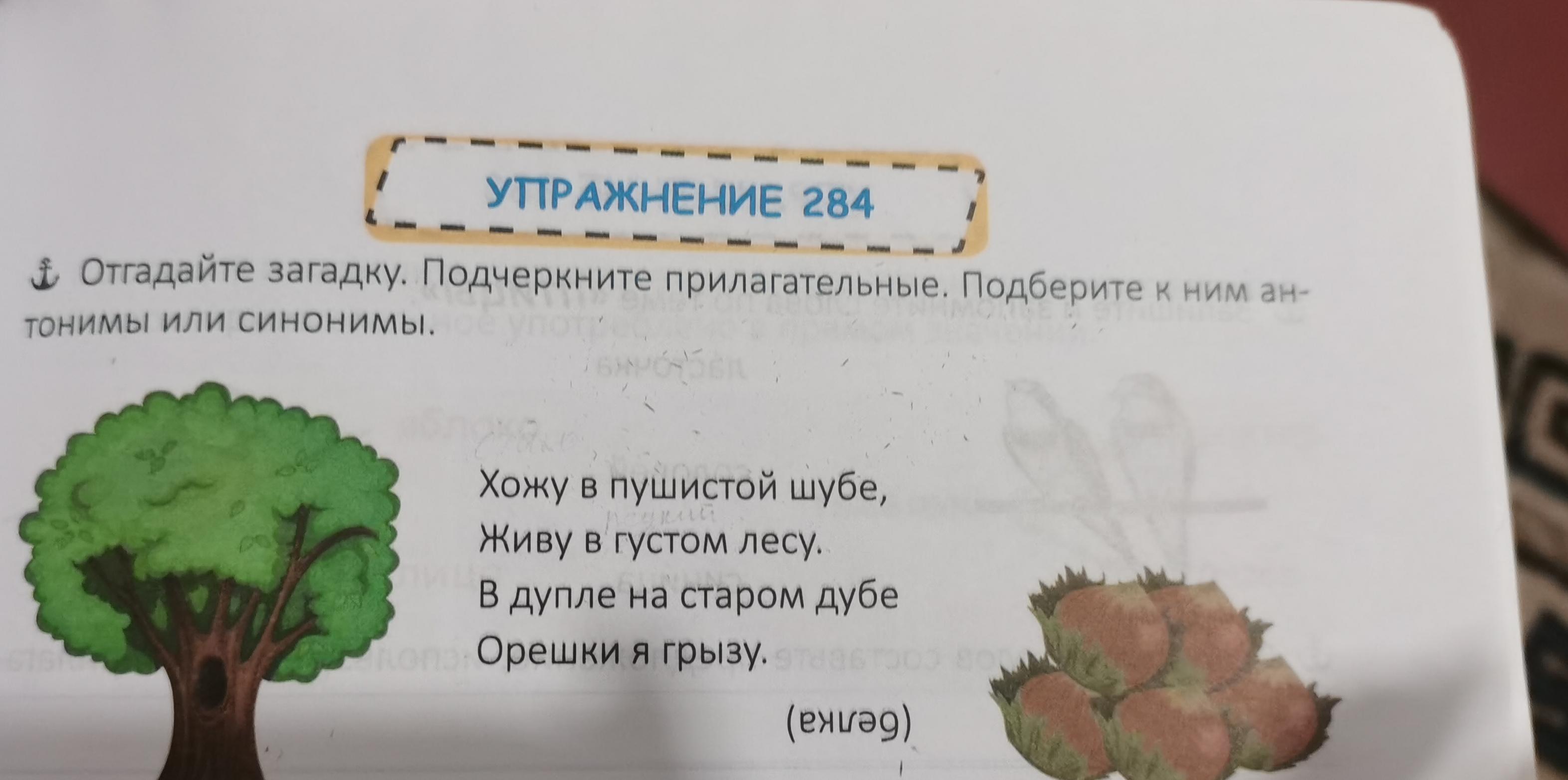 Синоним слова гуще. Синоним к слову густой лес. Конь хвост отгадай загадку презентация имя прилагательное. Игра дуб орехами моча. Прочитайте и отгадайте загадку подчеркните изучаемые буквосочетание.