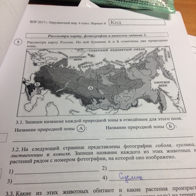 Карта впр зоны окружающий мир ответы россии. Запиши названия природных зон. ВПР по окружающему миру зоны. Запиши название каждой природной зоны. ВПР по окружающему миру 4 класс природные зоны.