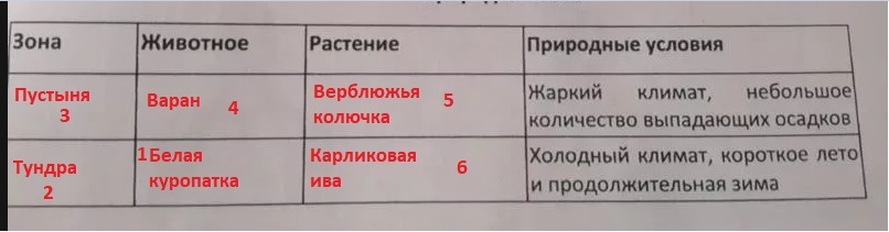 Заполните пустые ячейки на схеме выбрав необходимые