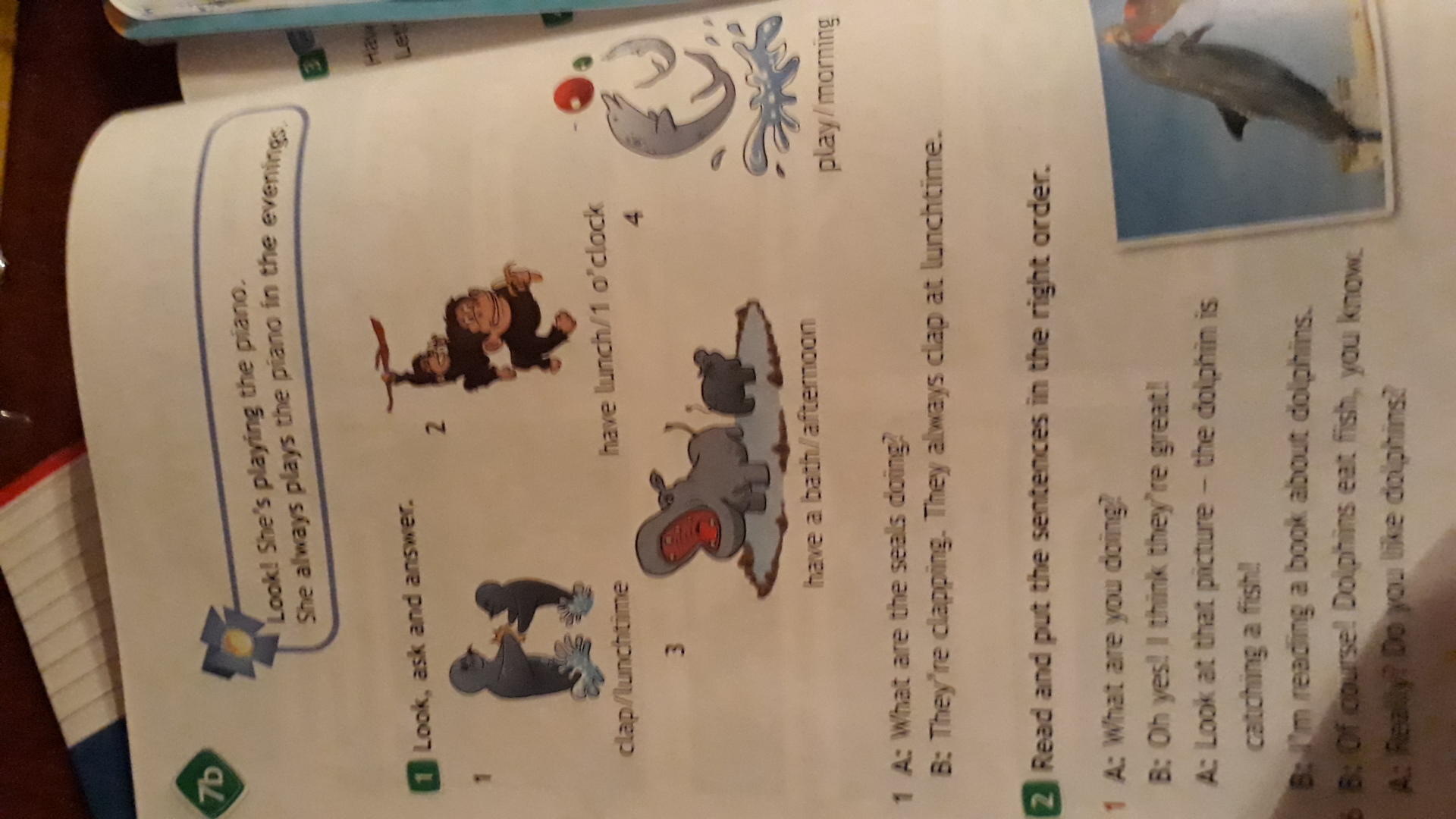 Look ask and answer clap lunchtime. Seals Clap are clapping at lunchtime выбери. What are the Seals doing. Seals always Clap are clapping at lunchtime ответ. Seals always Clap at lunchtime ответ.