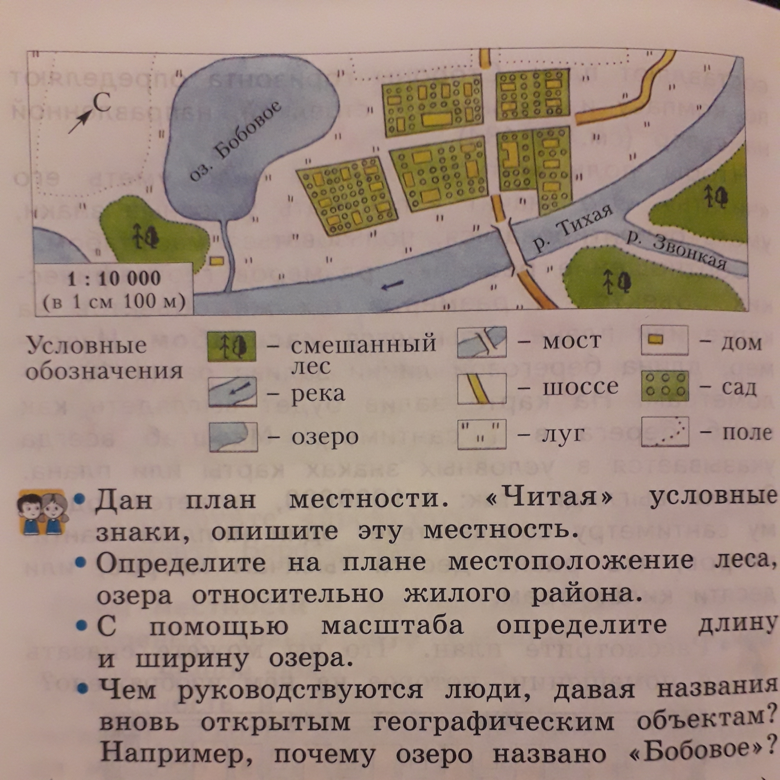 На плане изображена местность прилегающая к озеру. Лес на плане местности. Смешанный лес на плане местности. Хвойный лес на плане местности. Условный знак смешанный лес на плане местности.