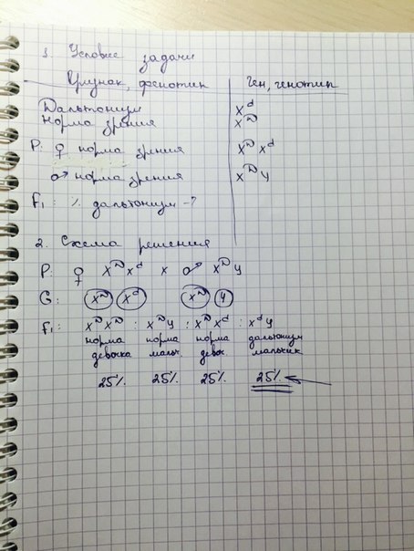 У человека ген длинных ресниц доминирует