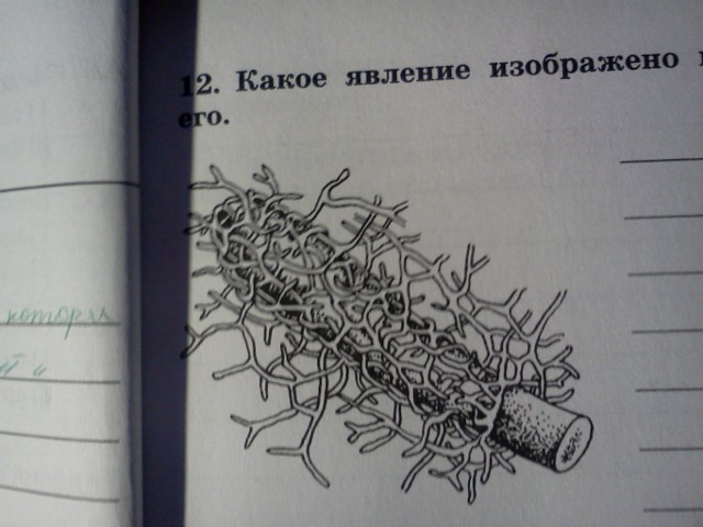 На рисунке изображено явление. Какое явление изображено на рисунке охарактеризуйте его. Какоеевление изображенр нарисунке. Какое явление изображено на картинке?.