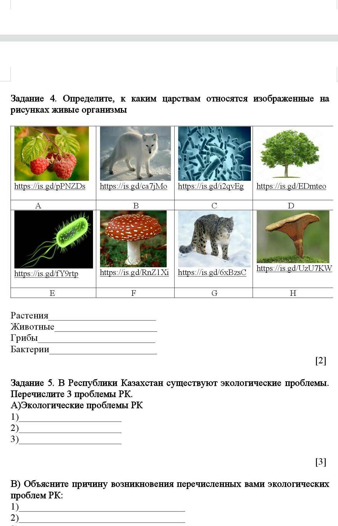 Назовите организмы изображенные на рисунке и определите к каким сообществам они относятся