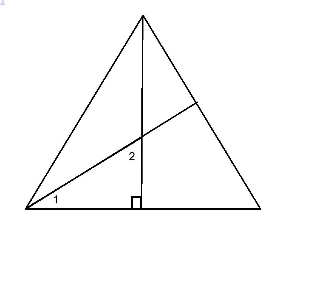 В равностороннем треугольнике 1 2. Равносторонний треугольник с 2 биссектрисами. Биссектриса равностороннего треугольника. Перпендикуляр в равностороннем треугольнике. Треугольник не равносторонний.