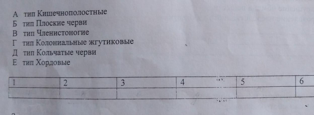 Установите правильное соответствие ответ на тест. Установите правильную последовательность появления у. Пример задания: установите правильную последовательность:.