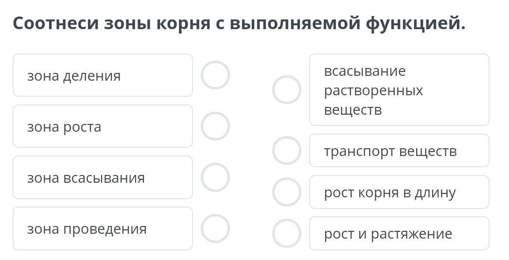 Соотнеси названия с точками на изображении. Соотнесите зону корня и выполняемую функцию. Соотнеси зону корня с её функцией. Соотнеси зону с ее функцией. Соотнеси каждую зону корня с функцией, которую она выполняет..