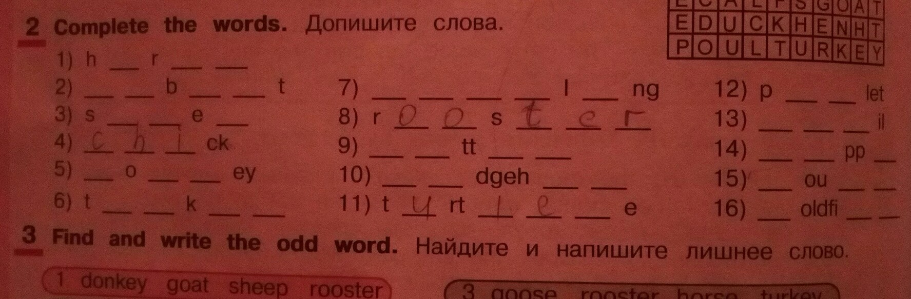 Complete the words. Допишите слова. Complete the Words допишите слова. Допиши слова собственные.