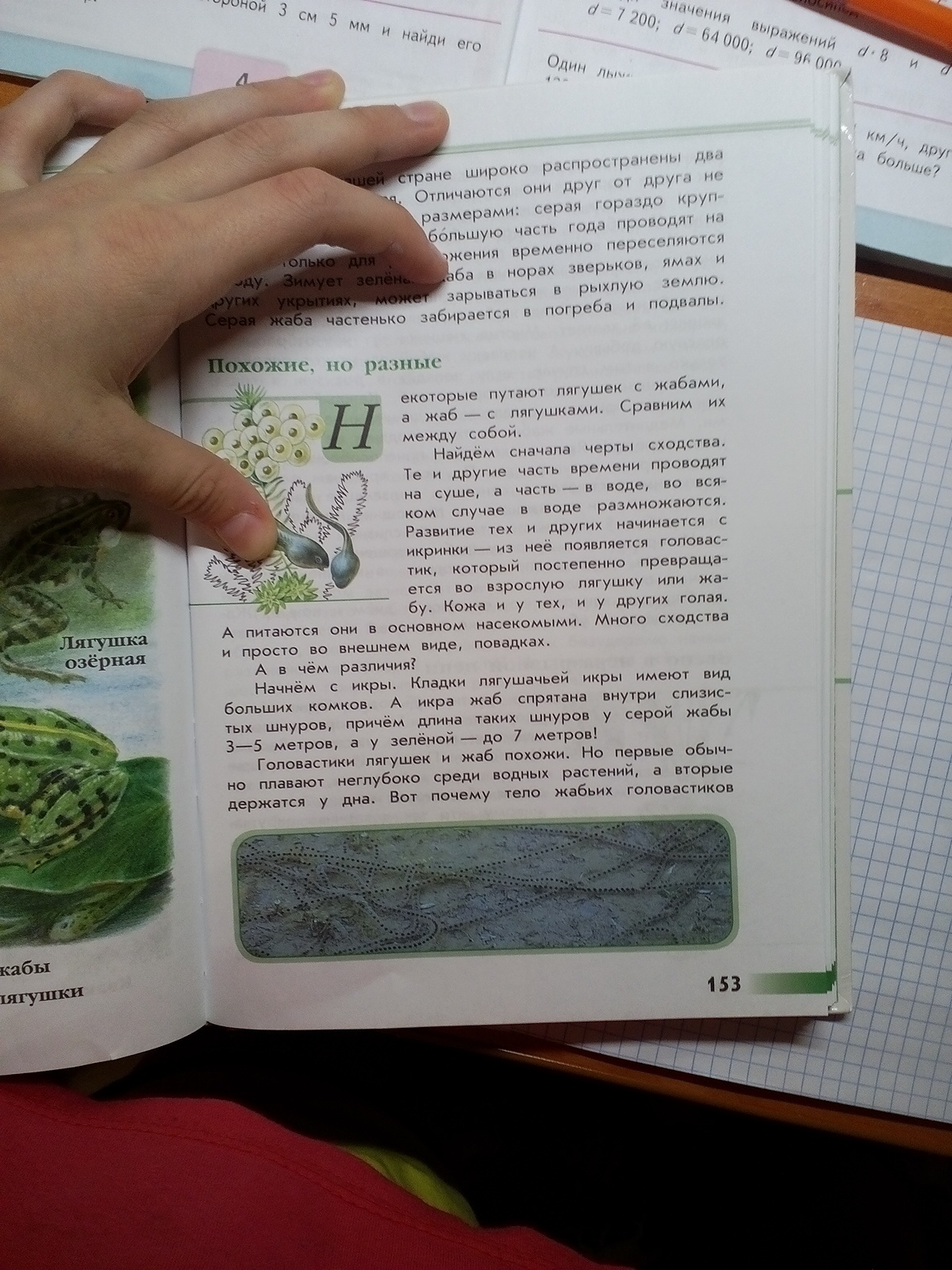 Читать зеленый мир. Зеленые страницы рассказ похожие но разные. Книга зеленые страницы рассказ похожие но разные. Книга зелёные страницы 2 класс похожие но разные. Зеленые страницы лягушка.