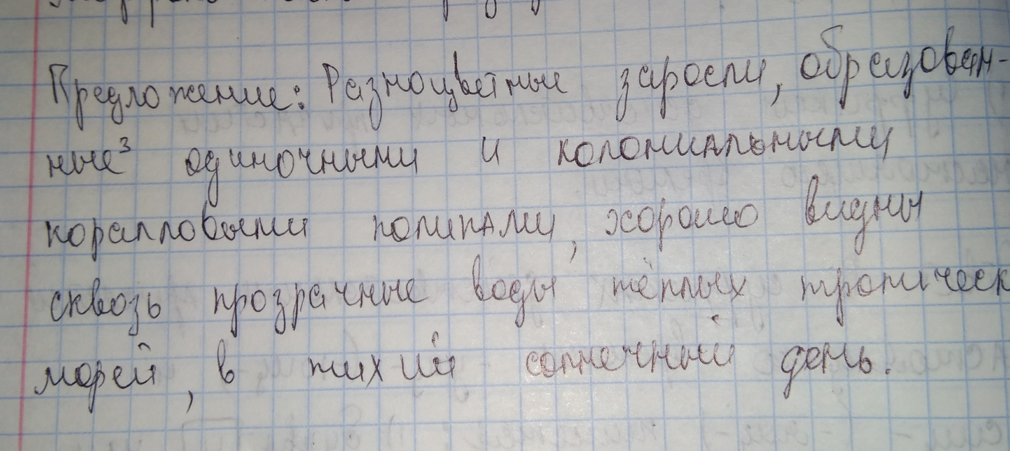 Морфологический разбор слова образуются. Морфологический разбор слова начитанный.