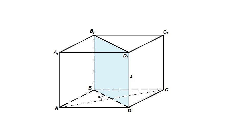 В прямоугольном параллелепипеде bb1 4