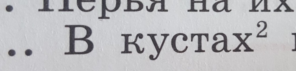 Куст разбор. Разбор слова кустах. Разобрать слово куст. Разбор слова слово куст. Как разобрать слово в кустах.