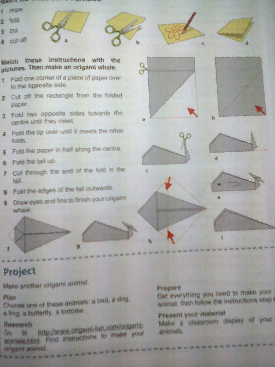 Пятый класс учебник ответы. Английский язык учебник 5 класс страница 43 картинка кита оригами. Английский язык 5 класс учебник стр 43 упр 2 кит оригами. Match these instructions with the pictures then make an Origami Whale.