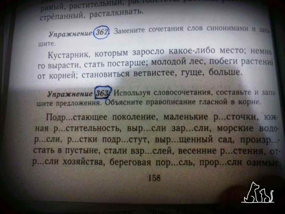 Правильный ответ пожалуйста. Замените сочетания слов одним словом. Кустарник котором заросло какое-либо место - синоним. Какое либо место. Частый кустарник которым заросло какое-либо место одним словом.