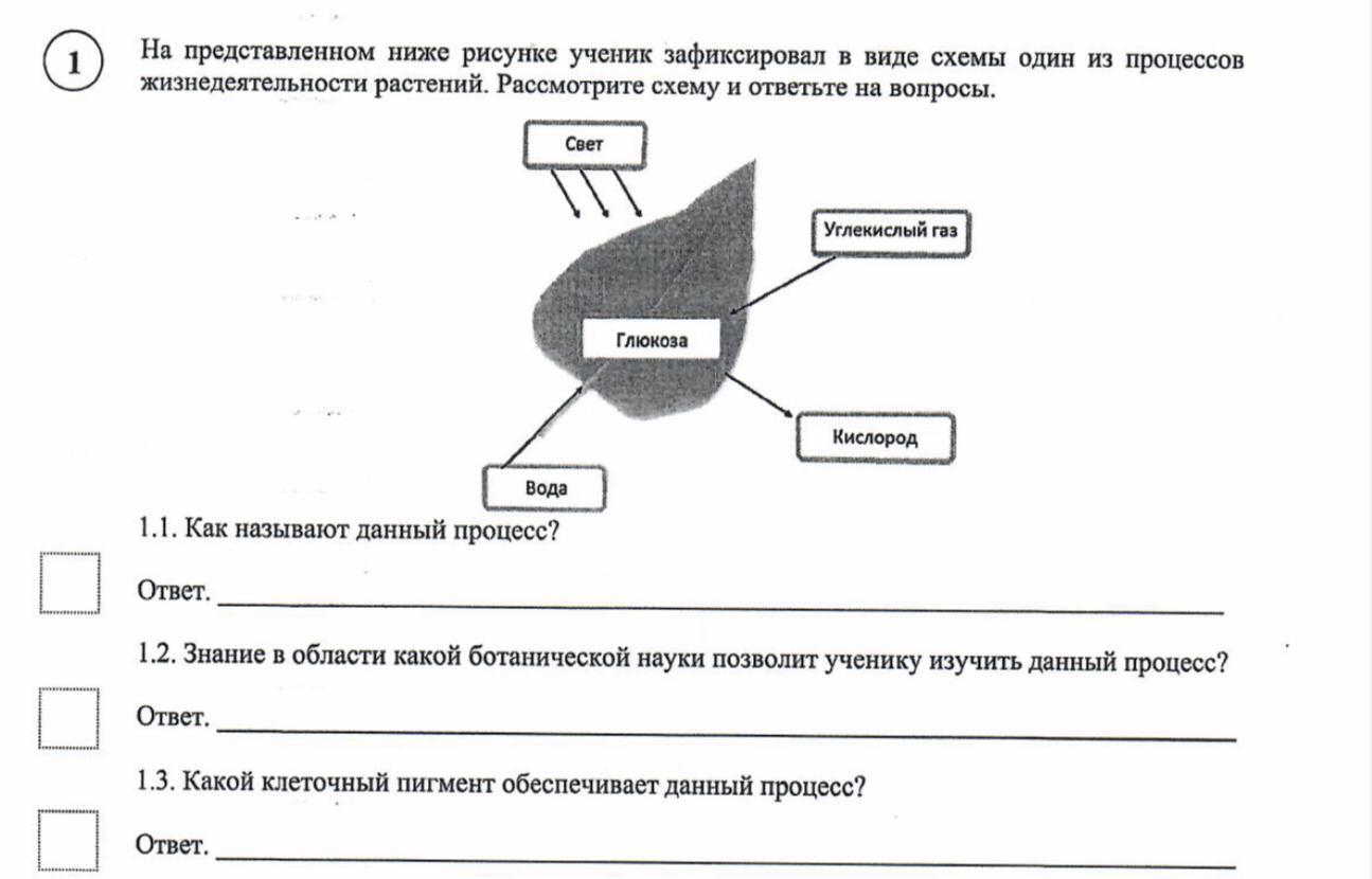 Впр биология 6 класс на представленном ниже рисунке ученик зафиксировал в виде схемы