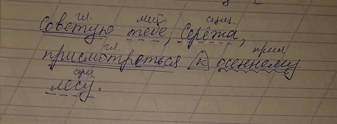 Советую тебе сережа присмотреться к осеннему лесу говорил отец схема предложения