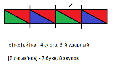 Разбор слова цветная схема. Ежевика звуковая схема. Ежевика схема звуков. Звуковая схема слова ежевика. Ежевика схема 1 класс.