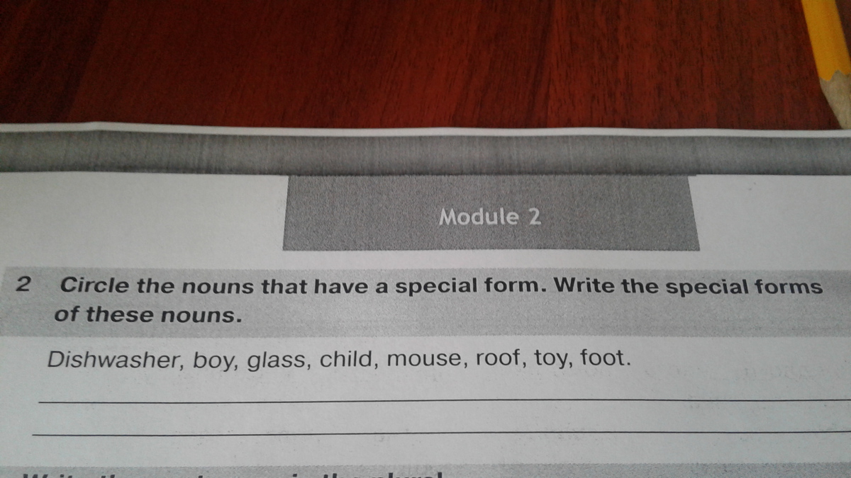 This form of writing. Circle the Nouns that have a Special form write the Special forms of these Nouns. Circle the Nouns that have a Special form write the Special forms of these Nouns Dishwasher boy. Circle the Nouns that have a Special form write the Special forms of these Nouns перевод на русский. Circle the Nouns that have a Special form write the Special forms of these Nouns из кокого учебника.