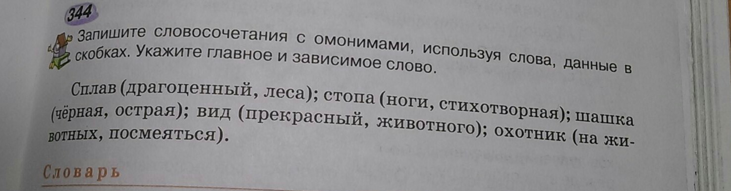 Составить предложения с омонимами