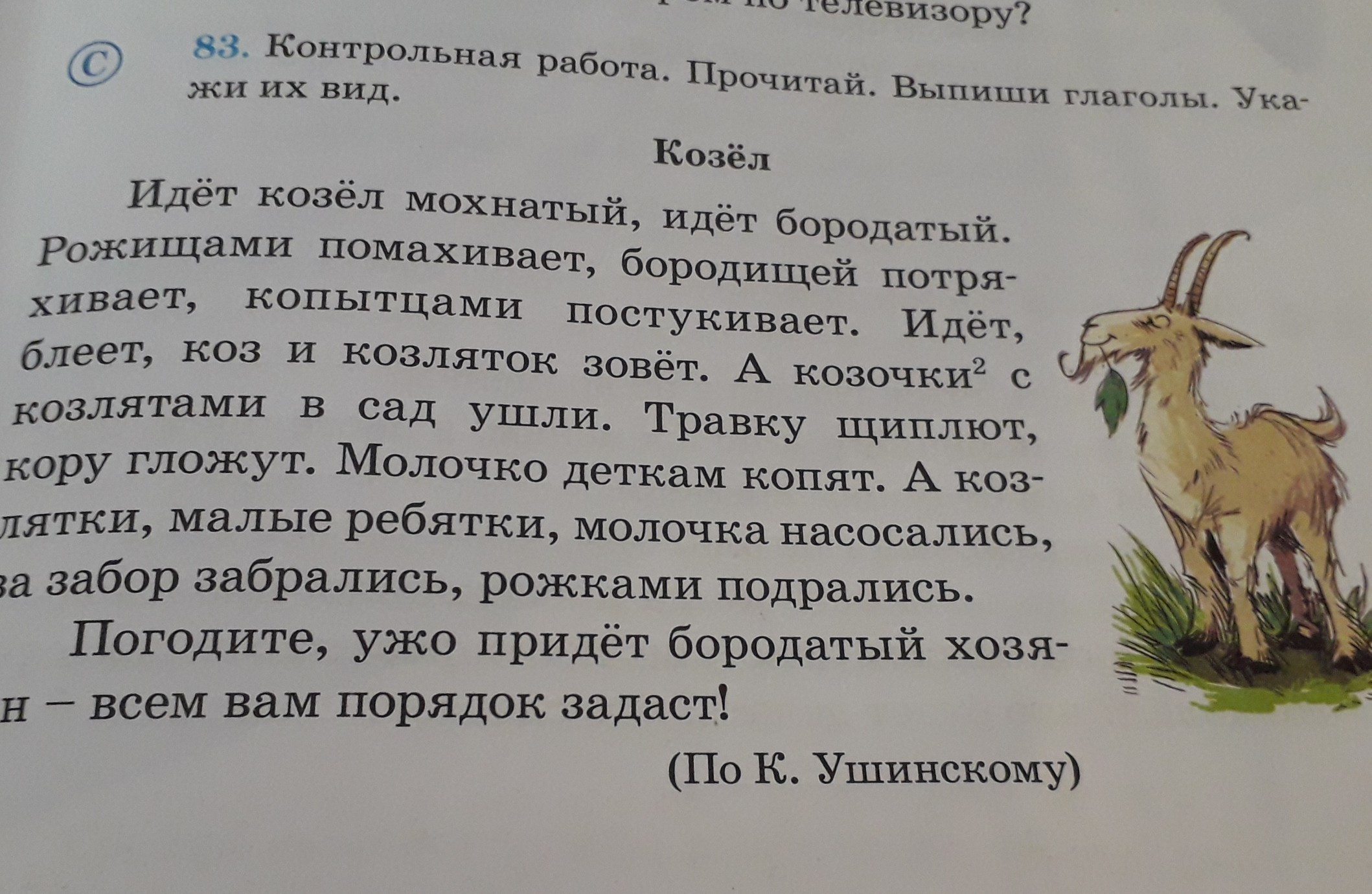 Коза по лесу себе принцессу. Шёл козёл по лесу нашёл себе принцессу. Шёл козёл по лесу текст. Пошёл козёл по лесу. Шёл козёл по лесу нашёл себе принцессу текст.