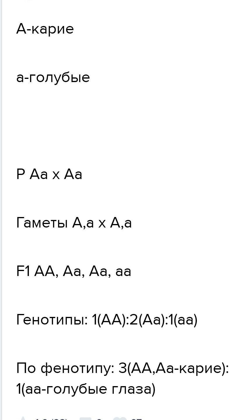 У человека карие глаза доминируют над голубыми