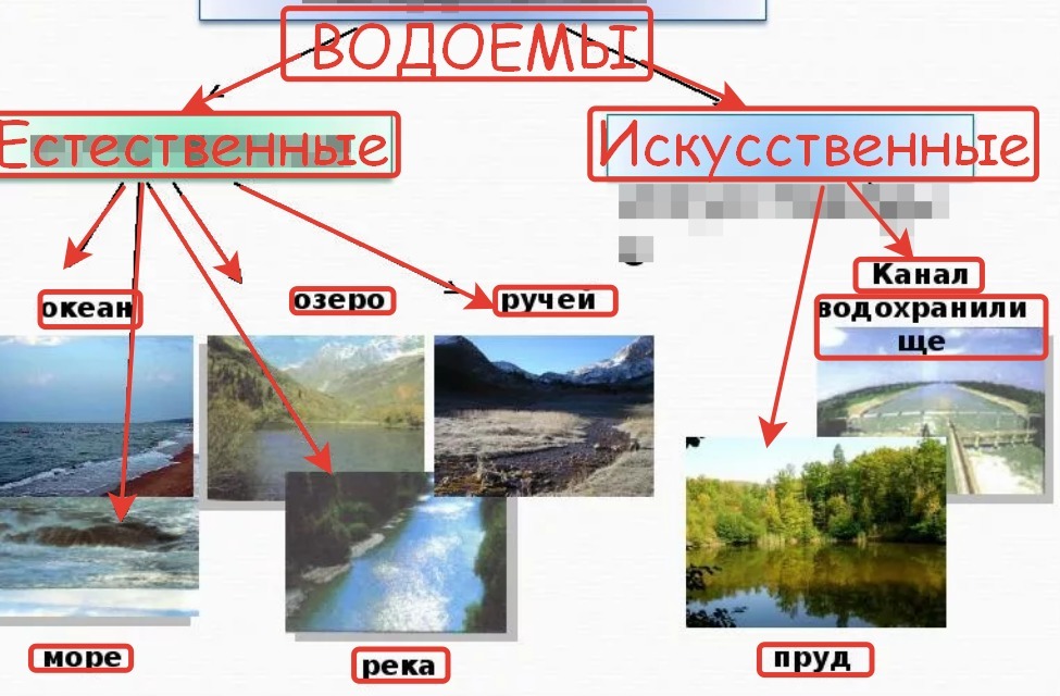 Распределите номера водных объектов по группам