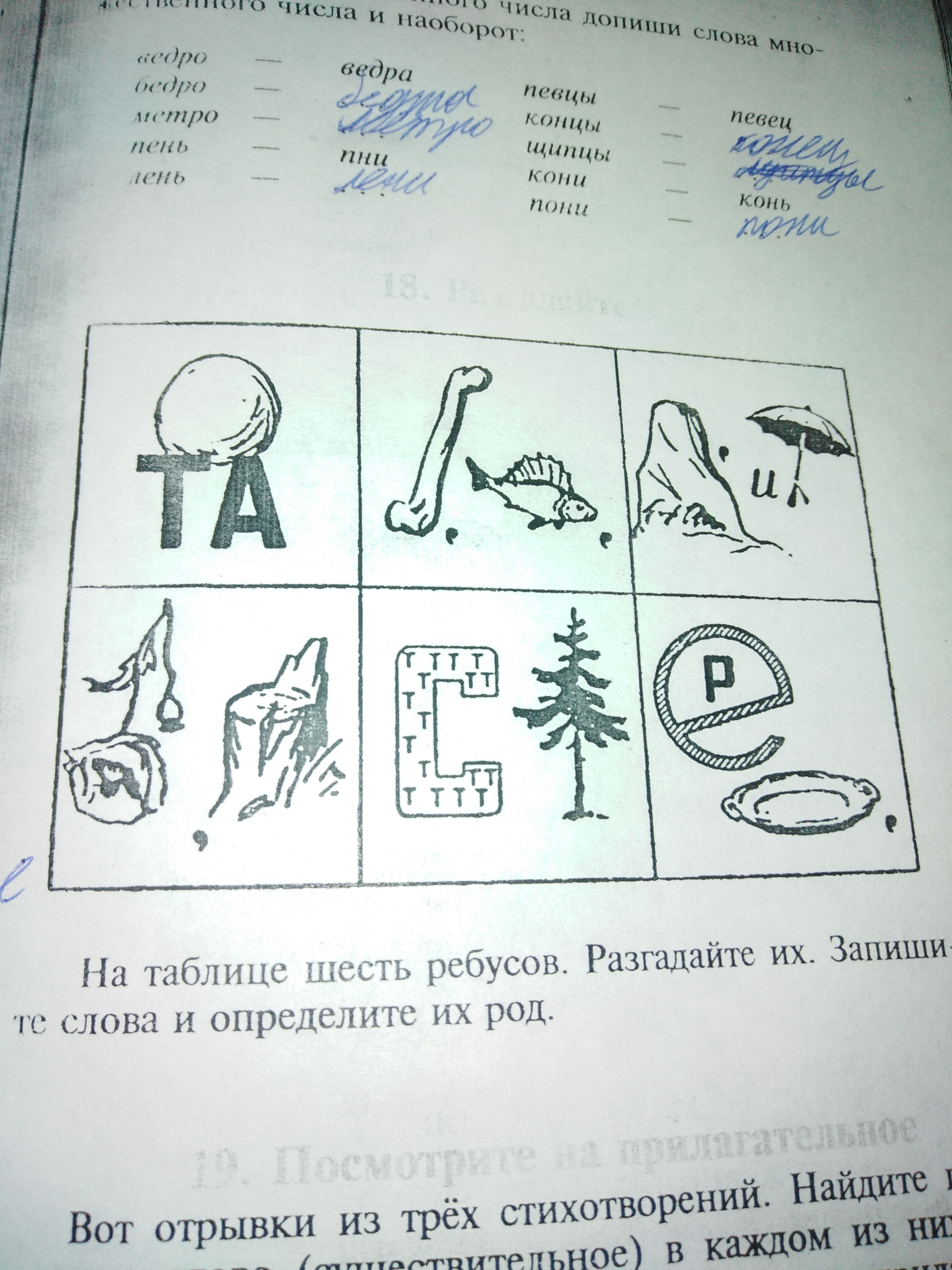 Запиши ответ на ребус под нужной цифрой.