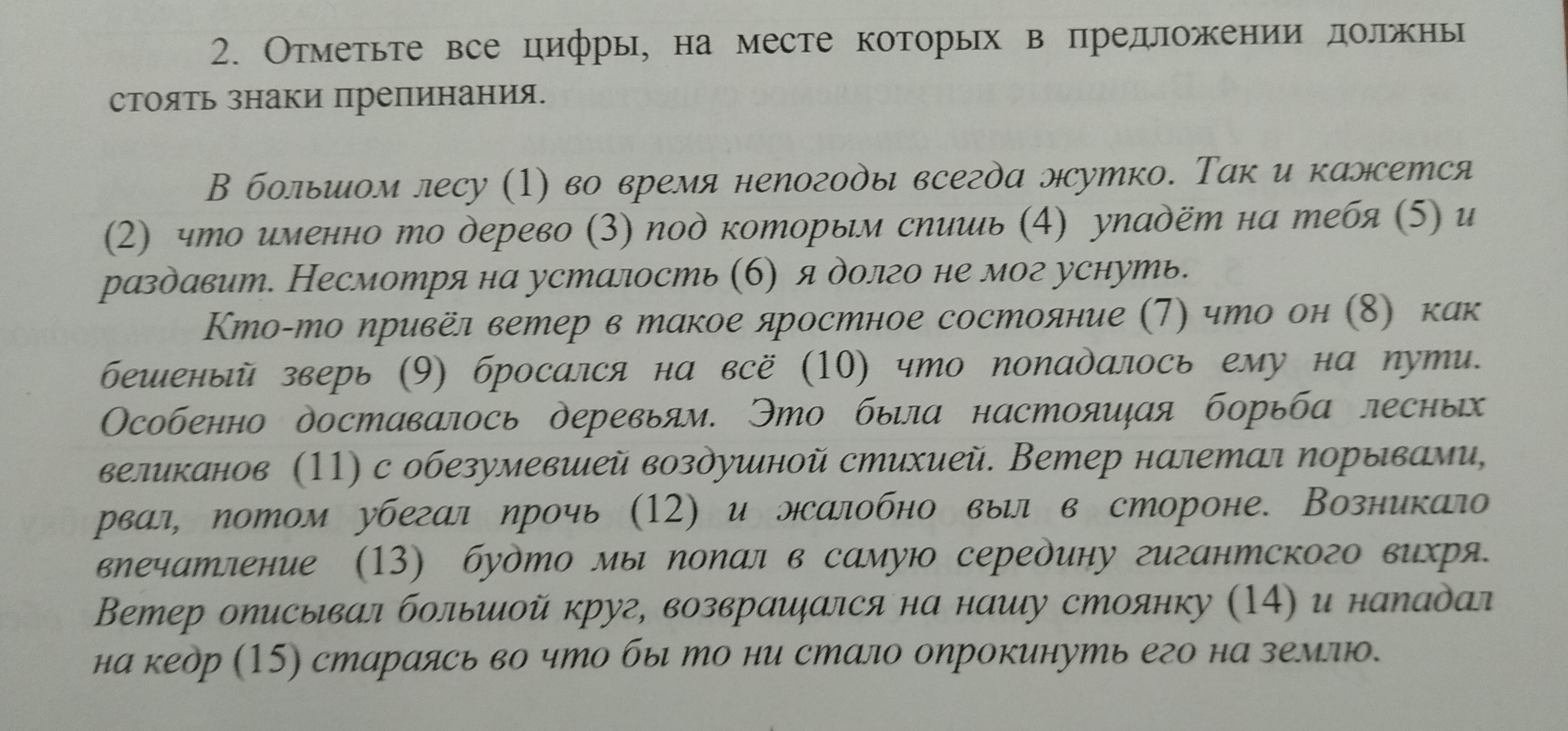 Указанную под цифрой 3. Неудачная охота диктант. Диктант непогода. Диктант на охоте. Неудачная охота диктант 4 класс.