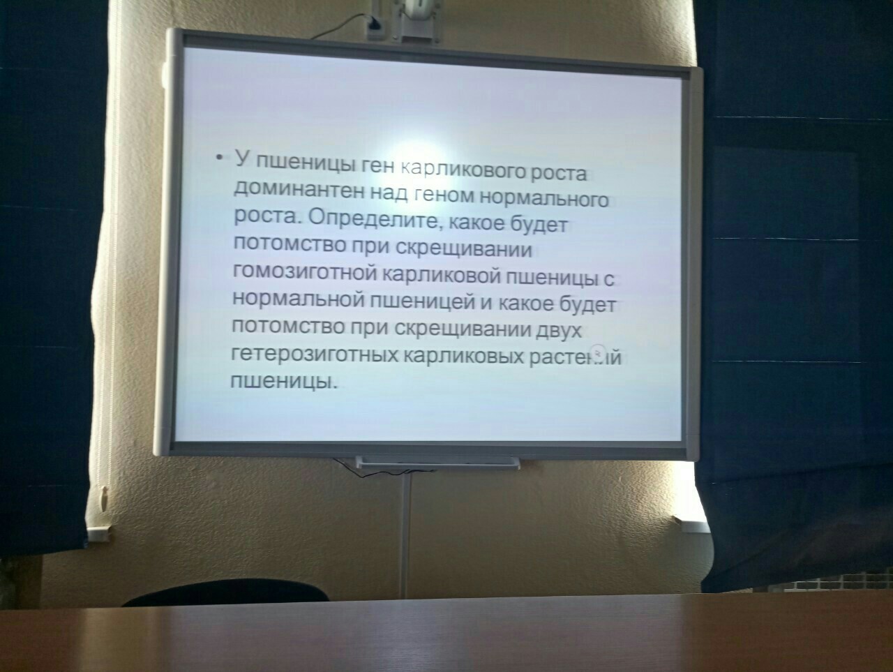 У пшеницы ген карликового роста