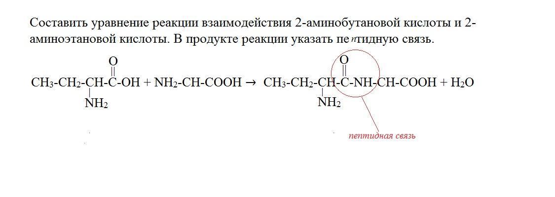 Формула 2 аминобутановой кислоты. Реакция 2 аминобутановой кислоты. Аминоетанова кислота реакция. Уравнение реакции взаимодействия. Аминоэтановой кислоты реакция.