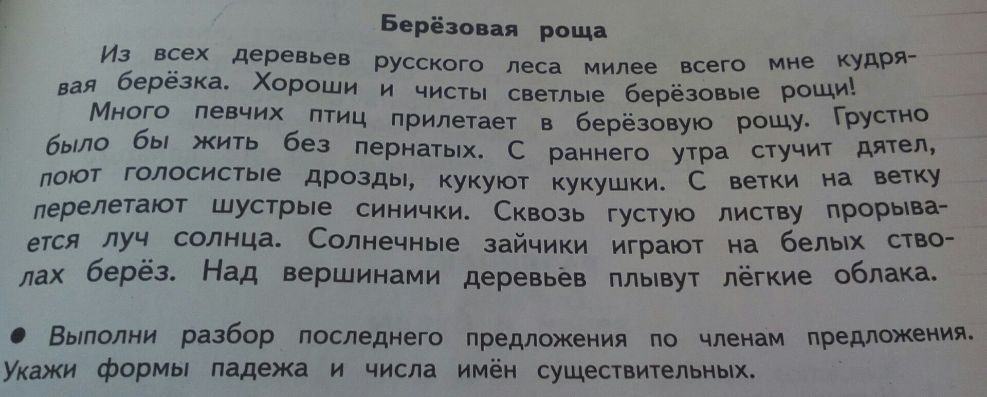 Укажи формы числа