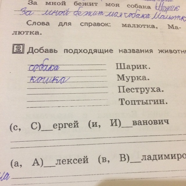 Добавь подходящие. Шарик Мурка друзья решить ребус. Шарик + Мурка = друзья. Ребус шарик плюс Мурка равно друзья решение. Как решить ребус шарик Мурка друзья.