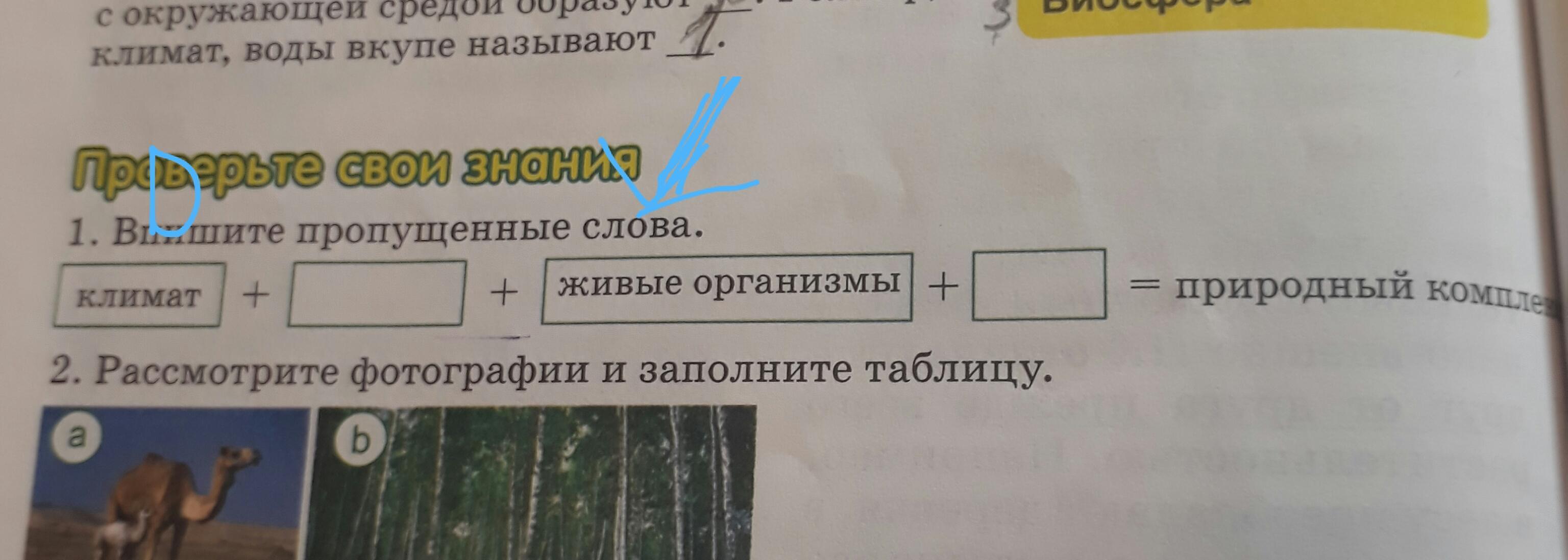 Заполни кластер скопление однотипных объектов вид схемы помогающий объединить или обобщить что либо