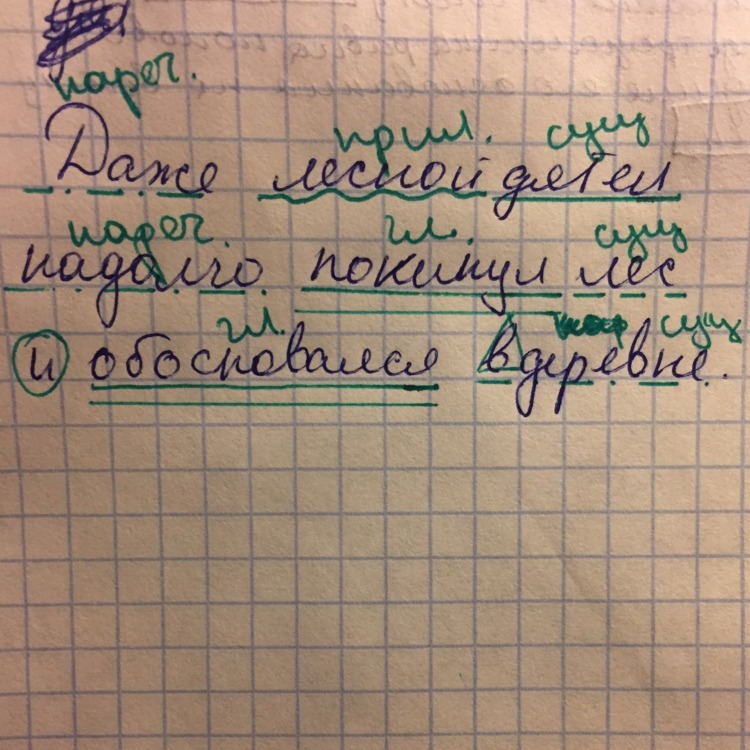 Синтаксический разбор предложения лесом. Синтаксический разбор предложения дятлы -работяги.. Синтаксический разбор предложения даже Лесной дятел надолго. Синтаксический разбор предложения Лесной. Синтаксический разбор Лесной.