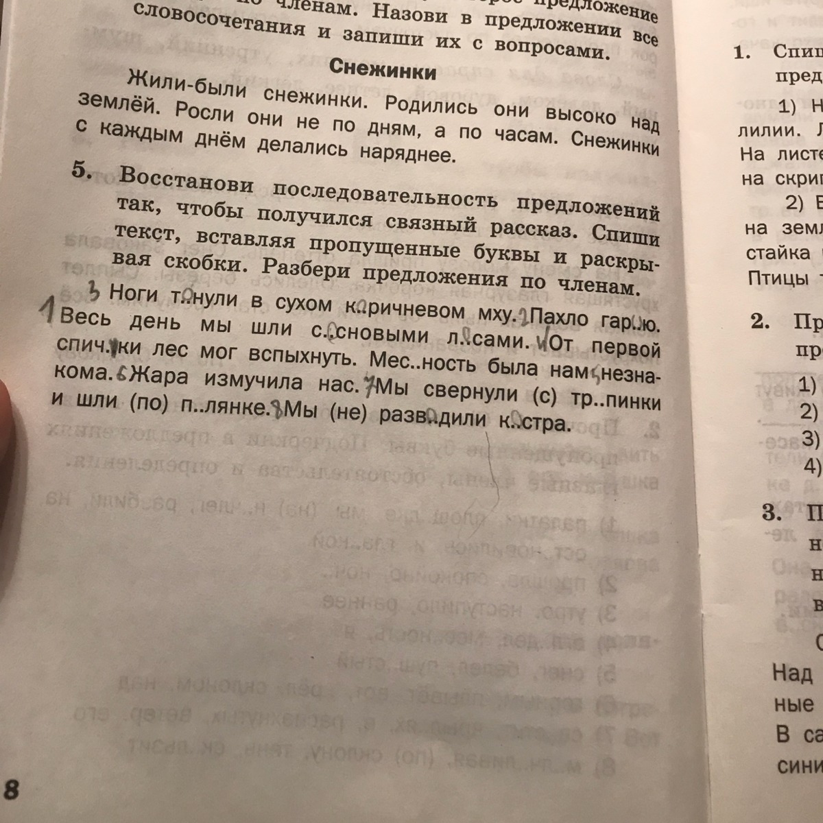 Тропинка проверочное слово. Ноги тонули в Сухом коричневом мху. Разбор 4 ноги тонули в Сухом коричневом мху.