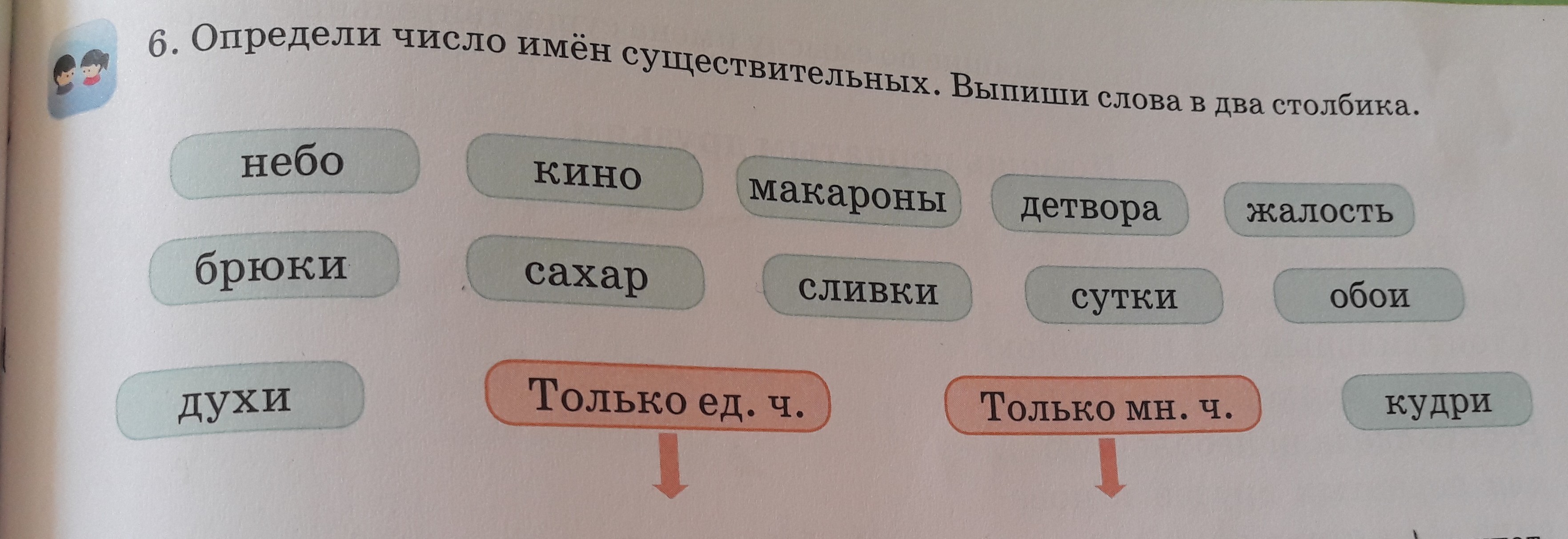 Определи число имен существительных тополя львы жираф подушка палас этажи этажерка