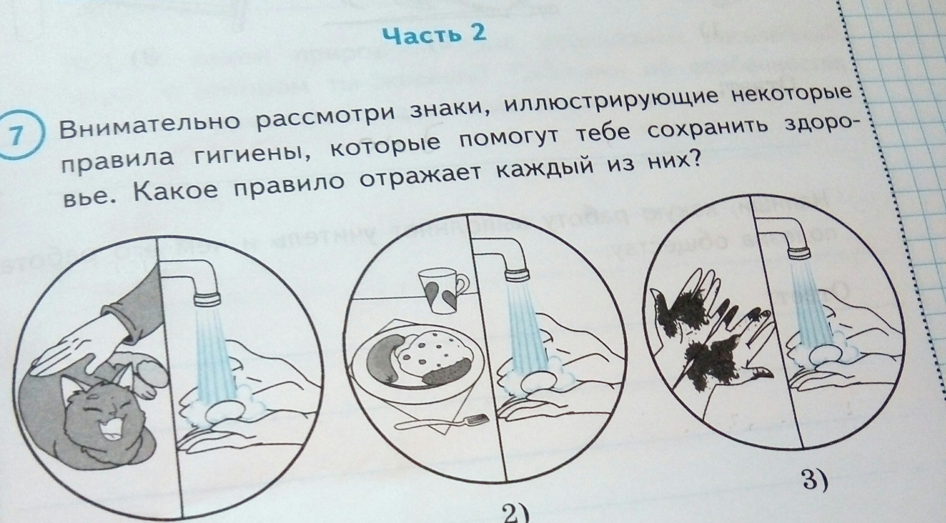 Внимательно рассмотри картинку